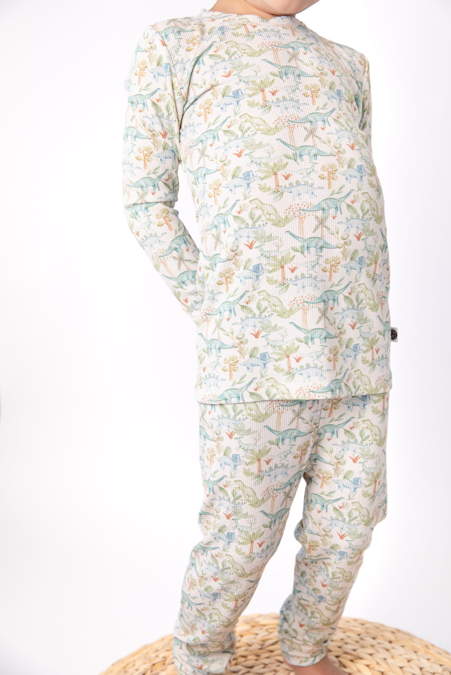 JURASSIC | TWO PIECE SET