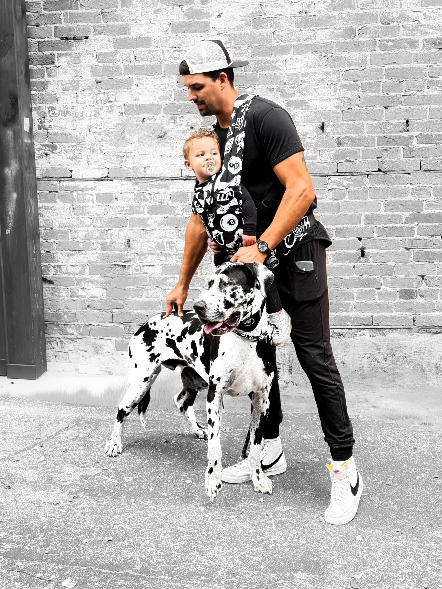 The Dahlia Carrier in Cool Kid [Midnight Edition]